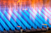 Luxulyan gas fired boilers